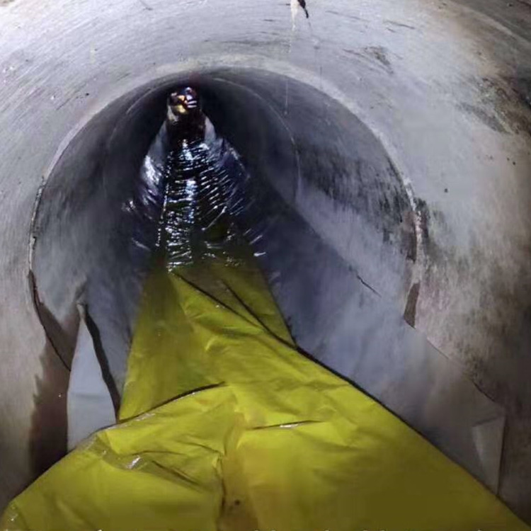 临高管道光固化修复